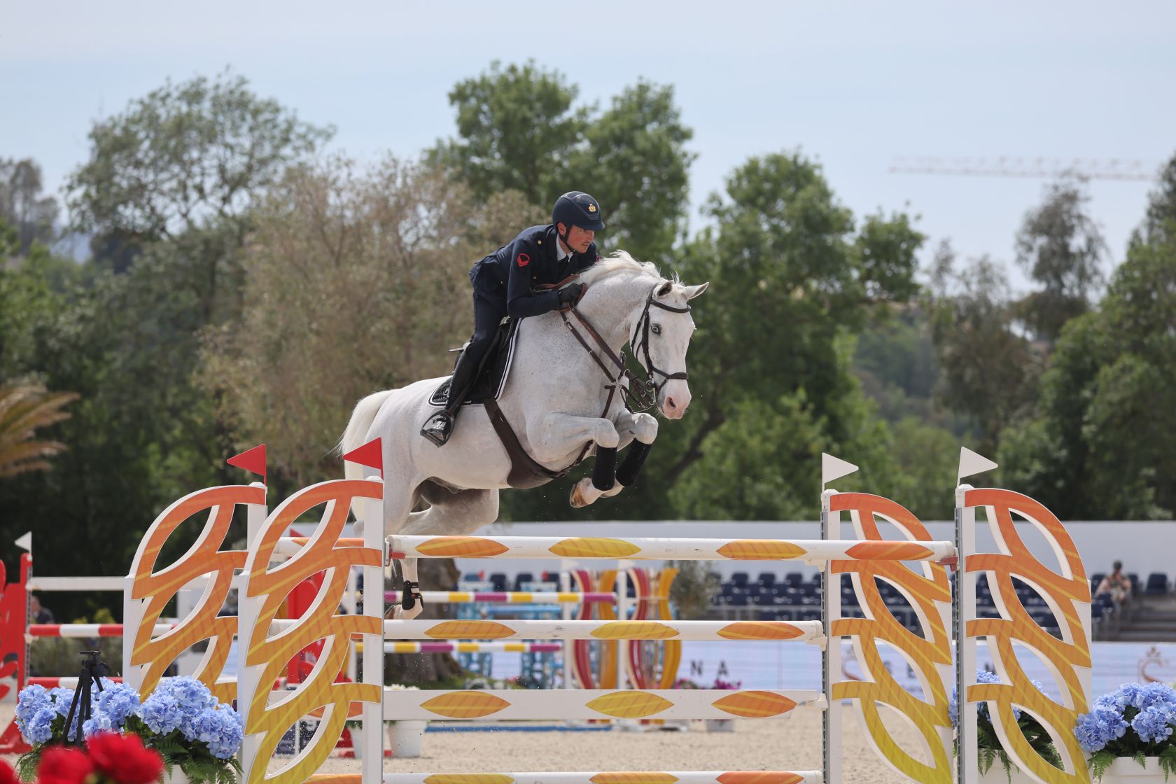 COLORIT Z FANS AUF DER GANZEN WELT! Gestüt Zangersheide